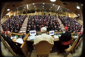1 - synod biskupów